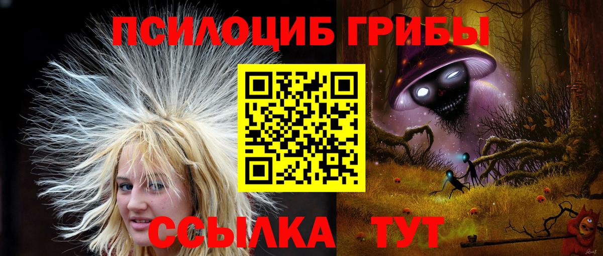 Псилоцибиновые грибы MAGIC MUSHROOMS Кувандык