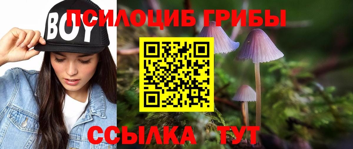 Кувандык  Галлюциногенные грибы Magic Shrooms  Вход с VPN 